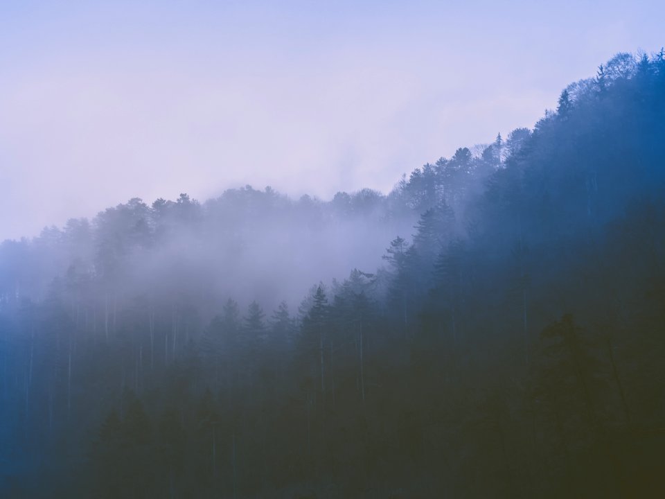 Sveta nedelja, Croatia, Nature