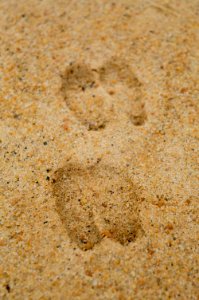 foot prints on sands photo