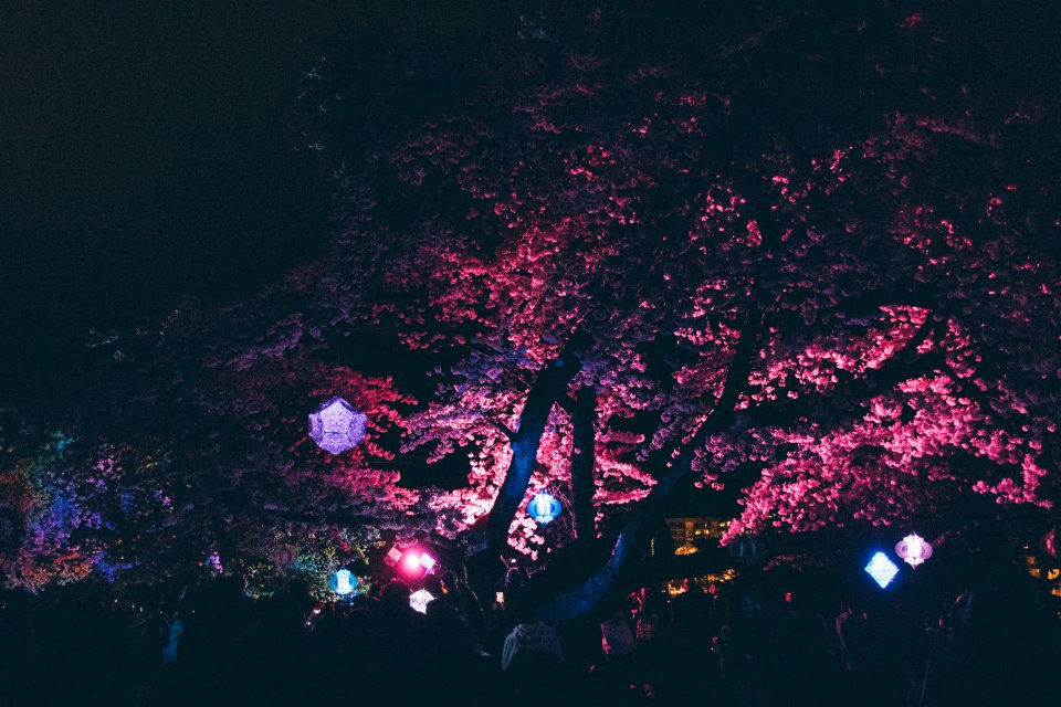 Queen elizabeth park, Vancouver, Canada