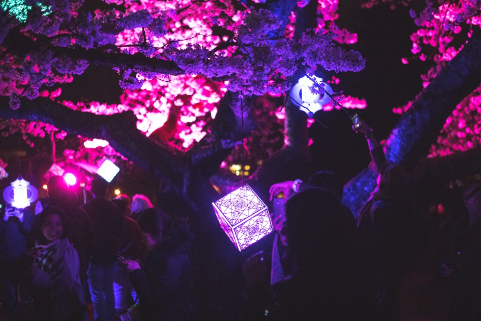 Queen elizabeth park, Vancouver, Canada