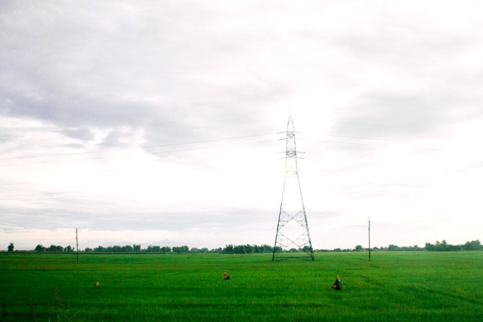 Philippines, Country, Rice workers