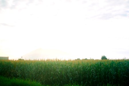 Country side, Country, Tagalog