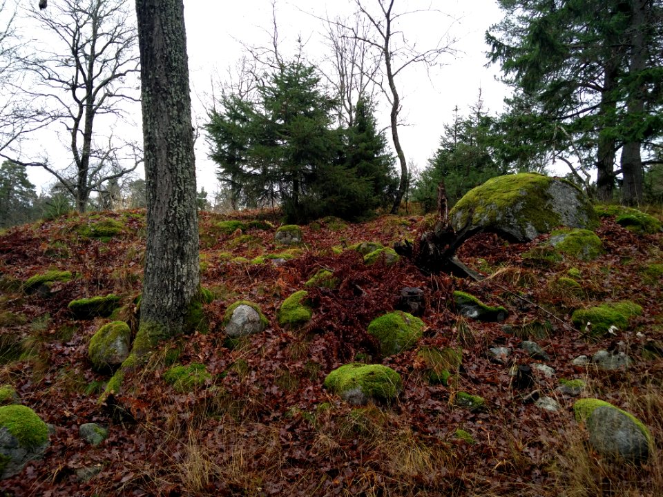 Artipelagstigen, 134 40 gustavsberg, Sweden