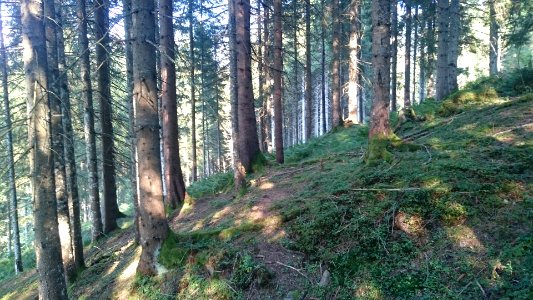 Radstadt, Austria, Slope