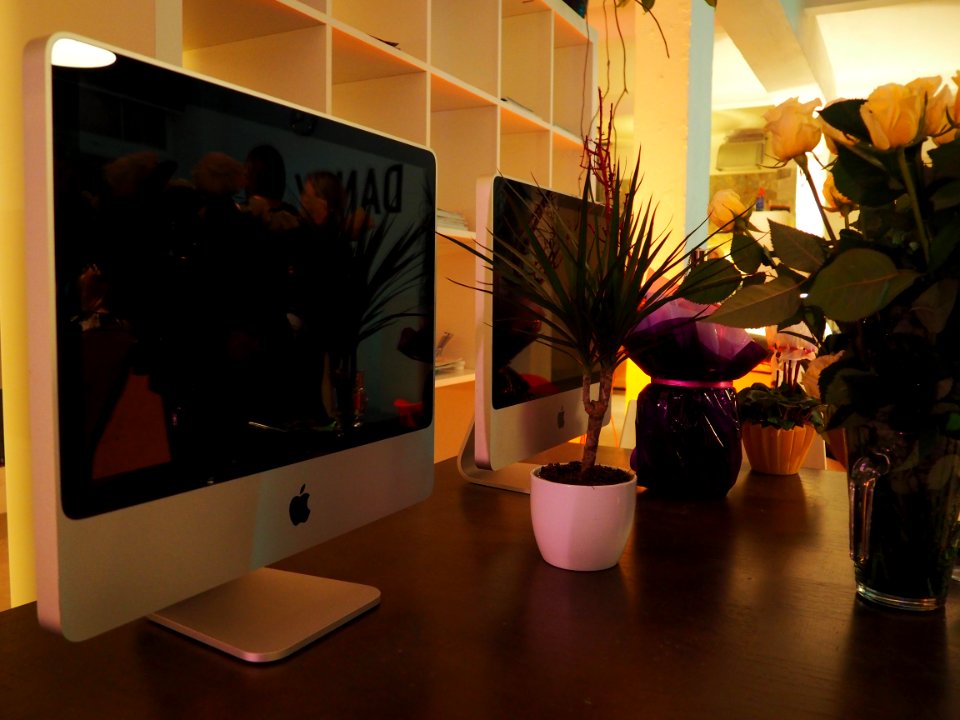 Table, Flowers, Mac