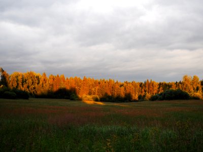 Latvia, Sunset, Summer