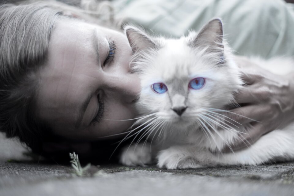 Eyes portrait whiskers