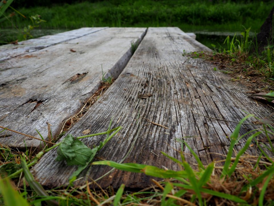 Vii, Latvia, Old wood