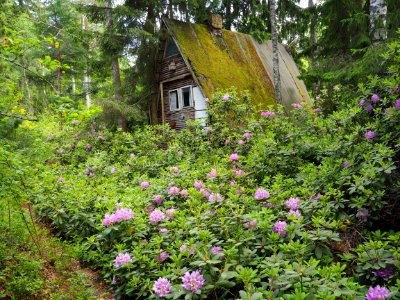 Apuciems, Latvia, Forest garden