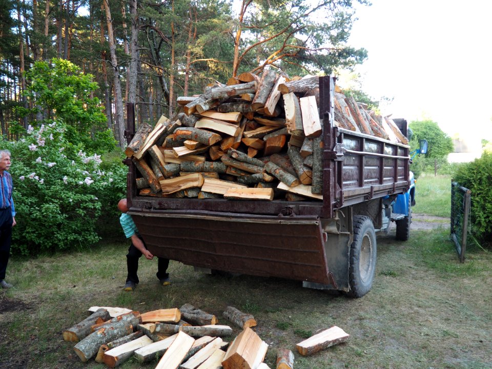 Klapkalnciems, Latvia, Forest