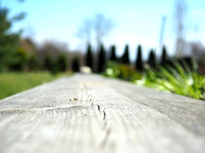 Klapkalnciems, Latvia, Small depth of field photo