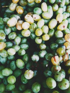 Munthiri, Mobile, Grapes