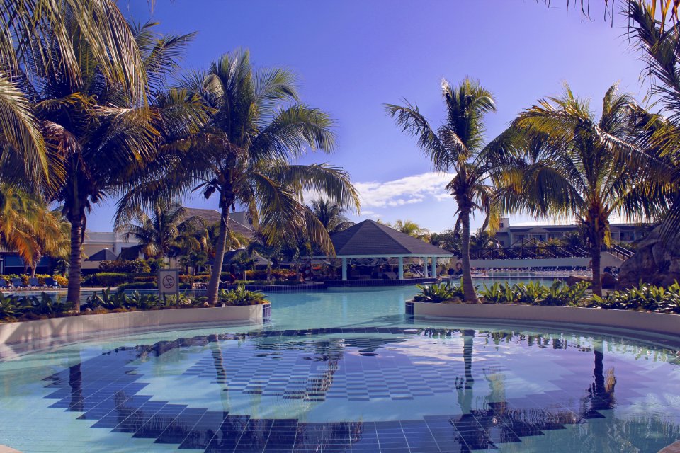 Cuba, Cayo santa mara, Palm trees