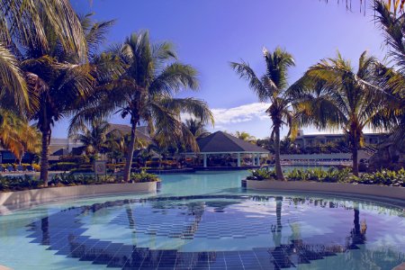 Cuba, Cayo santa mara, Palm trees