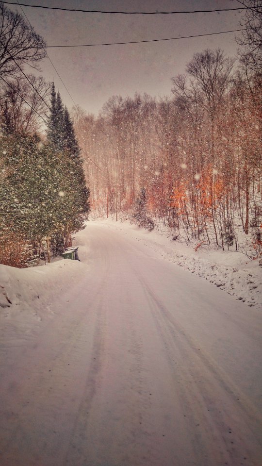 La conception, Canada, Cold