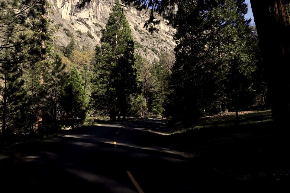 Yosemite valley, United states, Shadow