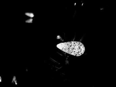 Holiday, Tree, Dark