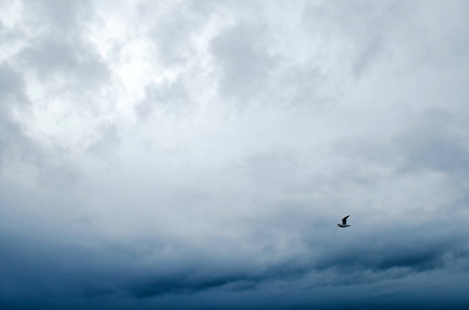 Seattle, United states, Sky