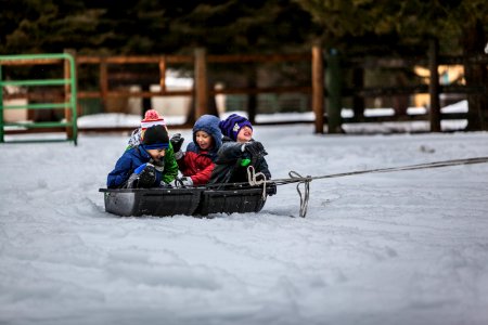 four children riding boat on snow photo