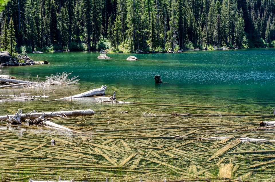 Glacier lake, United states, Lake