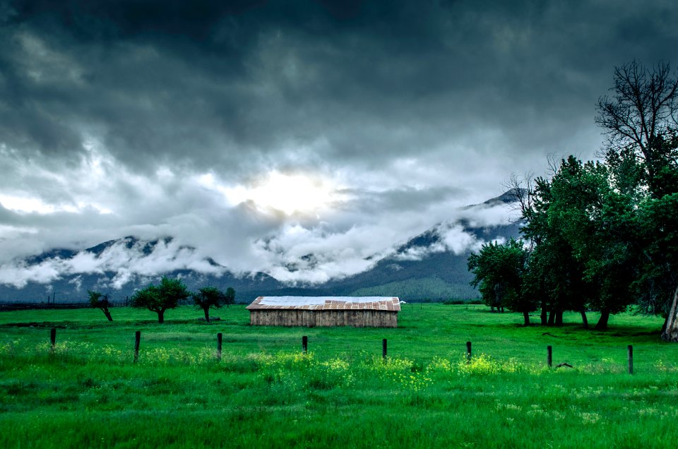 green grass field and brown wooden house