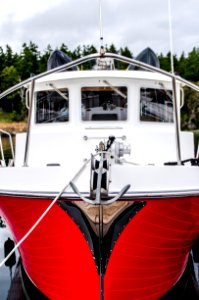 red and white motorboat