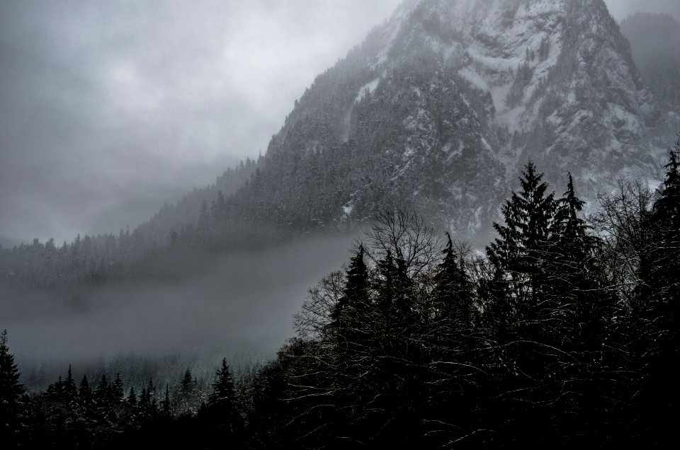 mountain covered snow and surrounding trees