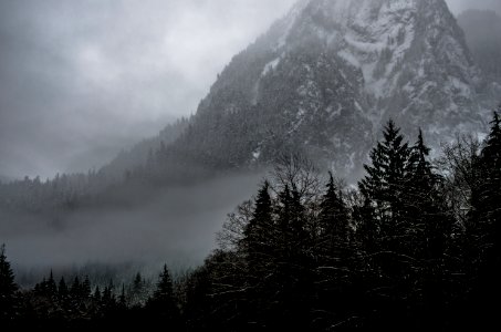 mountain covered snow and surrounding trees photo