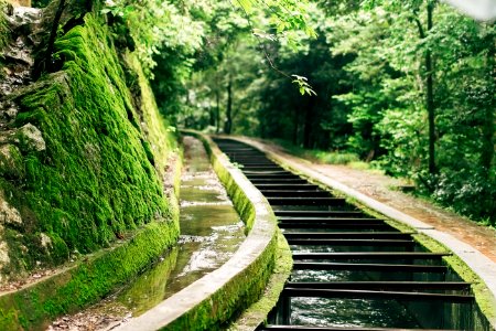 Kyoto, Sakyo ward, Japan