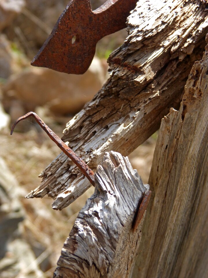 Ruin hinge nail