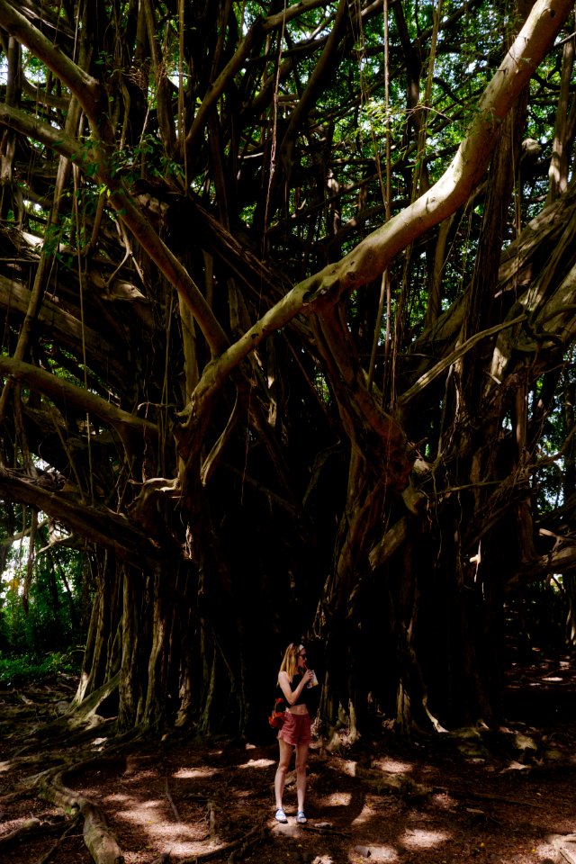 Adventure, Rainforest, Girl