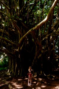 Adventure, Rainforest, Girl photo