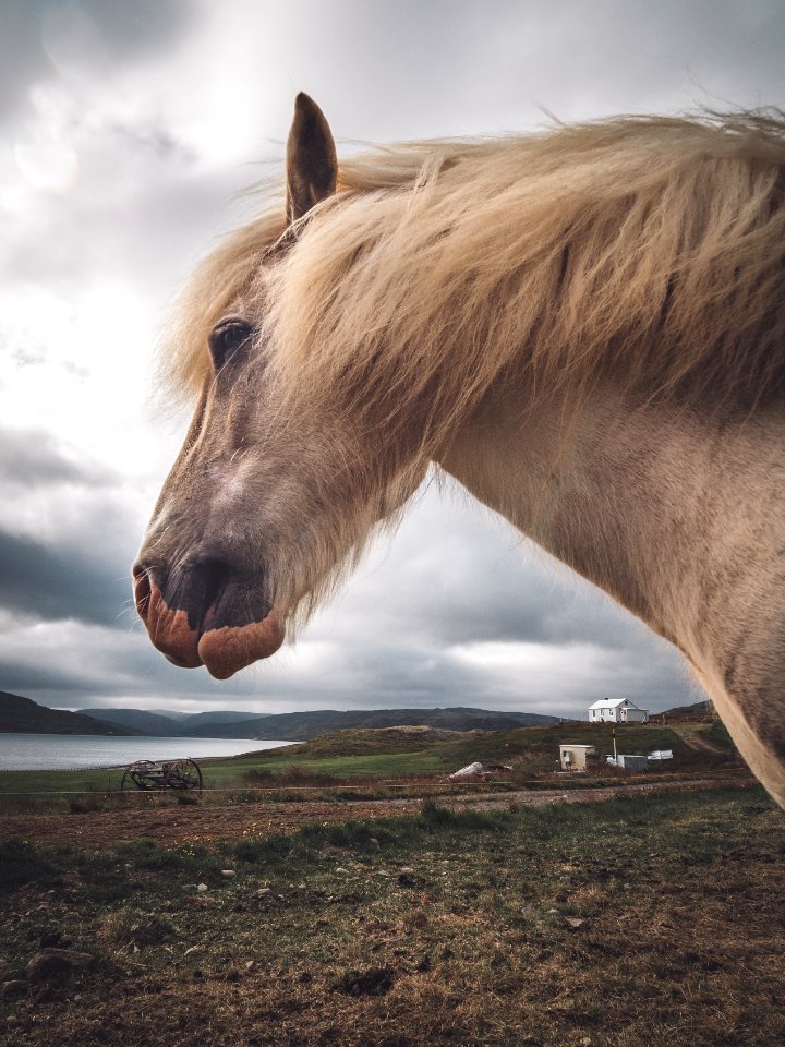 Icel, Westfjords region, Clouds