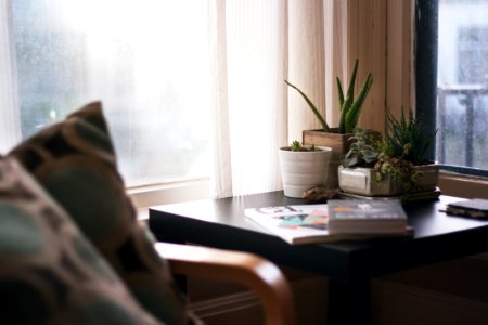 green aloe vera in pot on wooden table beside books photo