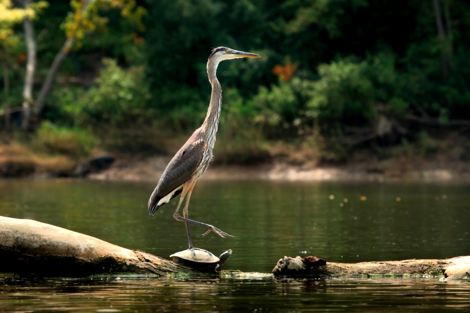 Farnsworth metropark, Waterville, United states