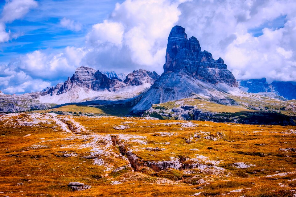 Meadow landscape scenic