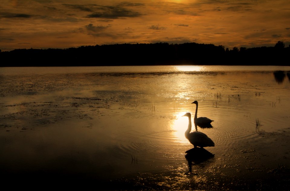 Maumee bay state park, Oregon, United states
