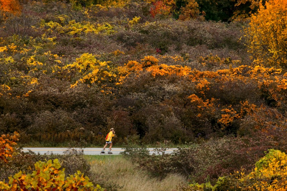 Maumee bay state park, Oregon, United states