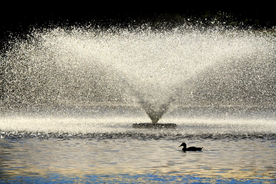Serene, Droplets, Spray