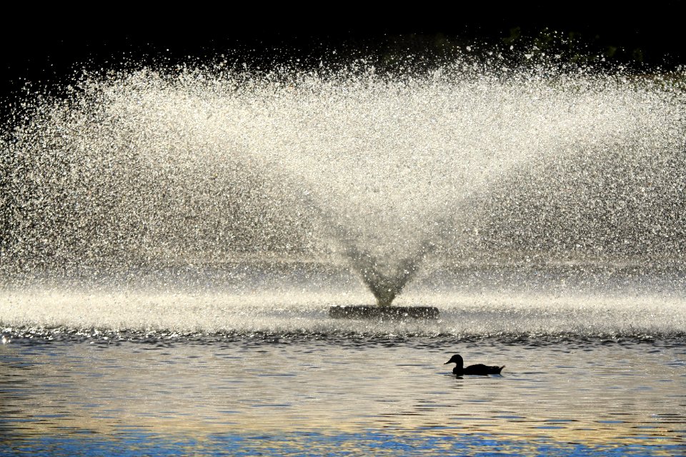 Serene, Droplets, Spray photo