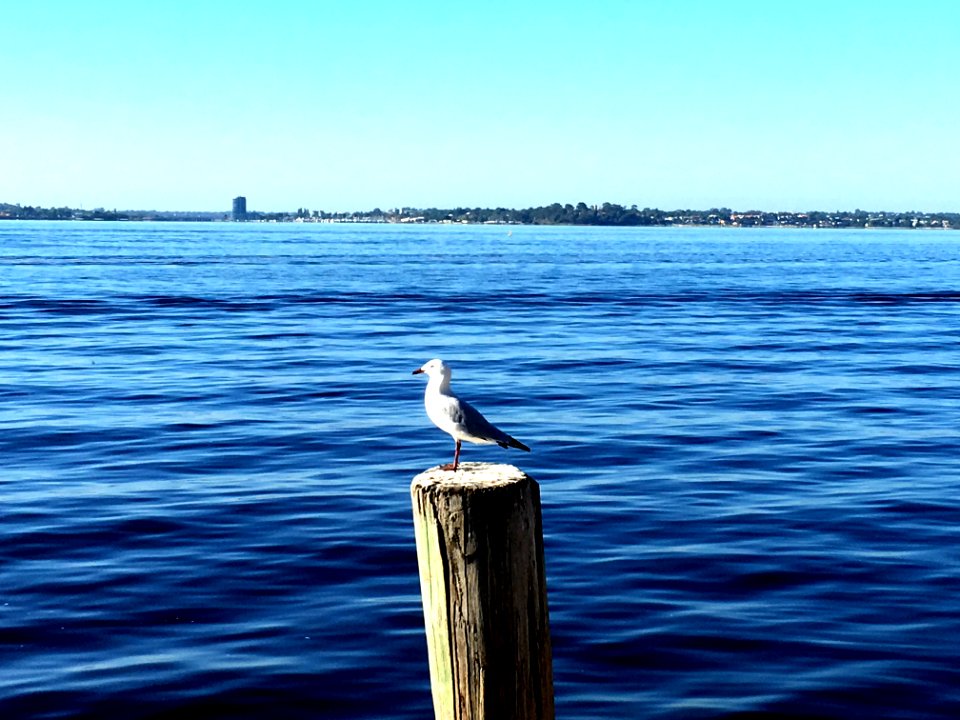 Perth, Australia, Horizon