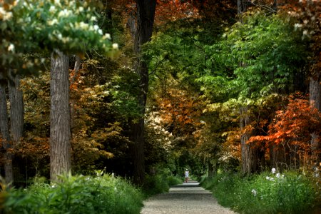 Side cut metropark, Maumee, United states