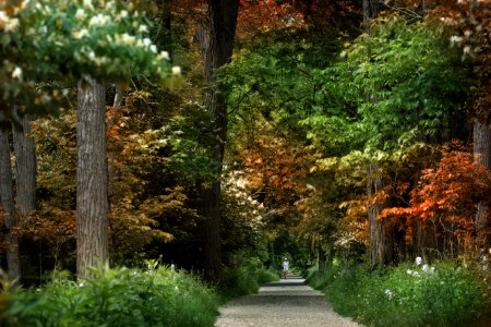 Side cut metropark, Maumee, United states photo