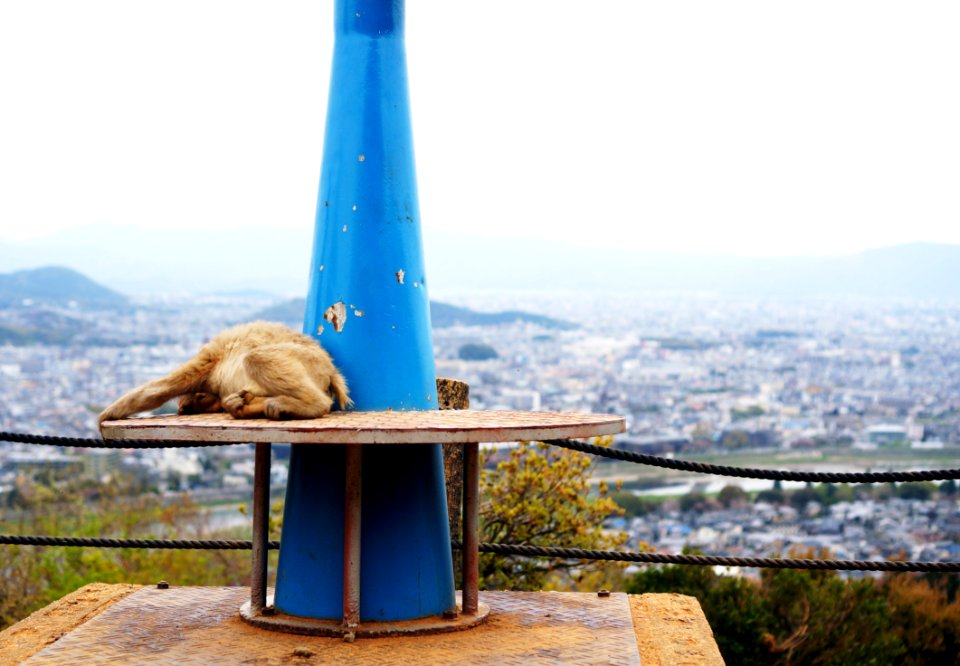 Kyoto, Japan, Cityscape