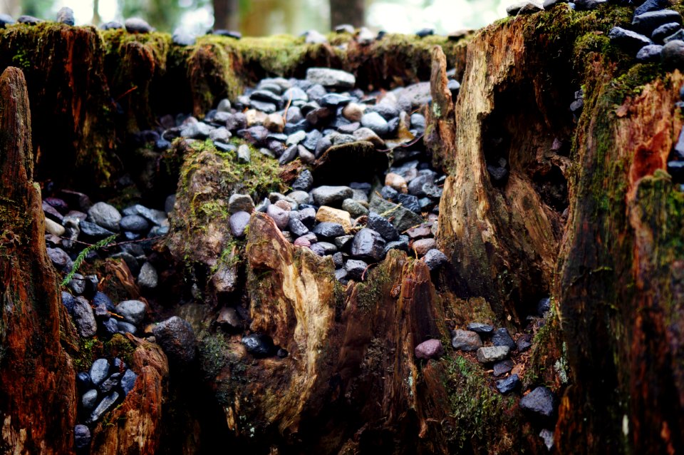 Nikko, Japan, Stones