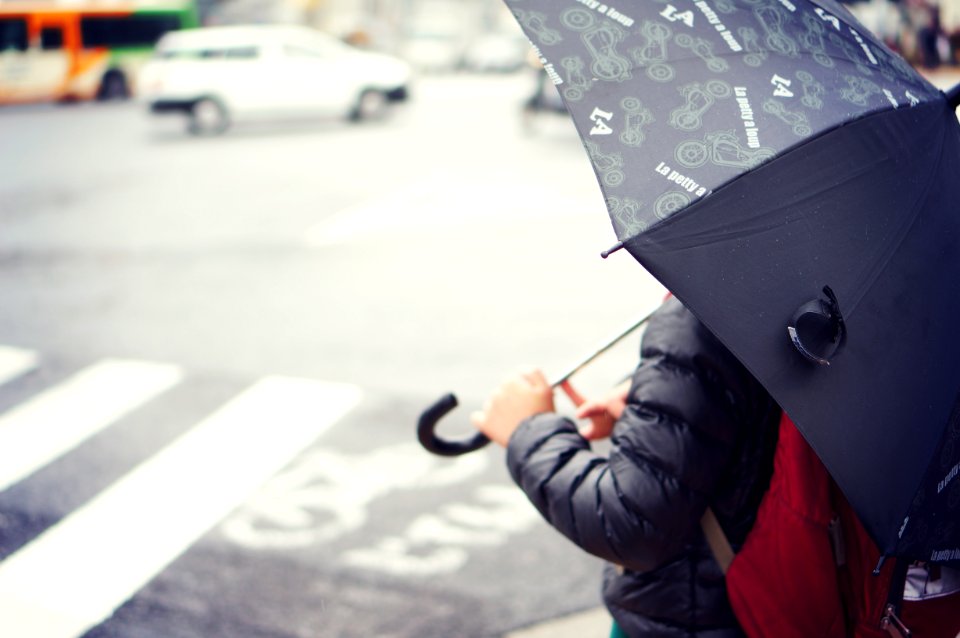 Japan, Tokyo, Crosswalk