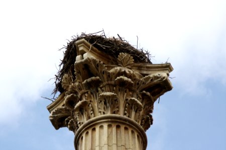 Len, Spain, Nest