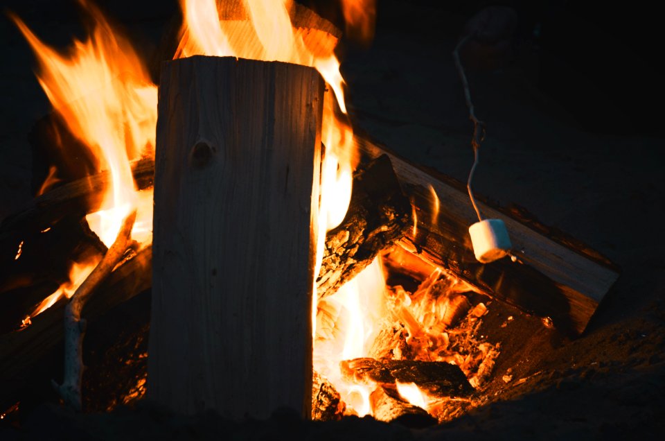 Pachena campground, Bamfield, Canada