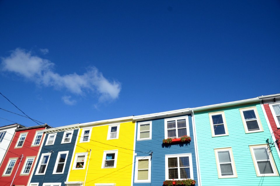 Jellybean row, St. john s, Canada