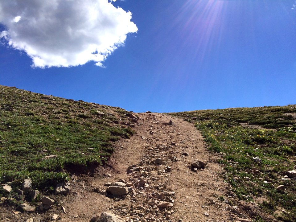 Sunny, Field, Hike